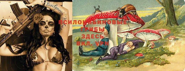 соль курить ск Алзамай