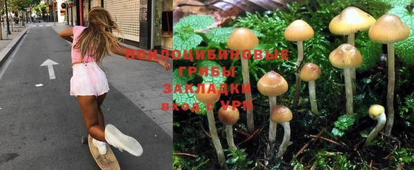 соль курить ск Алзамай