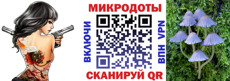 KRAKEN   Салехард  Псилоцибиновые грибы Psilocybe 